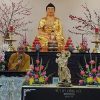 The Grace of the Buddha Retreat, Mar 4, 2017