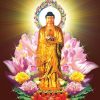 Lược Sử Đức Phật A Di Đà và 48 Đại Nguyện