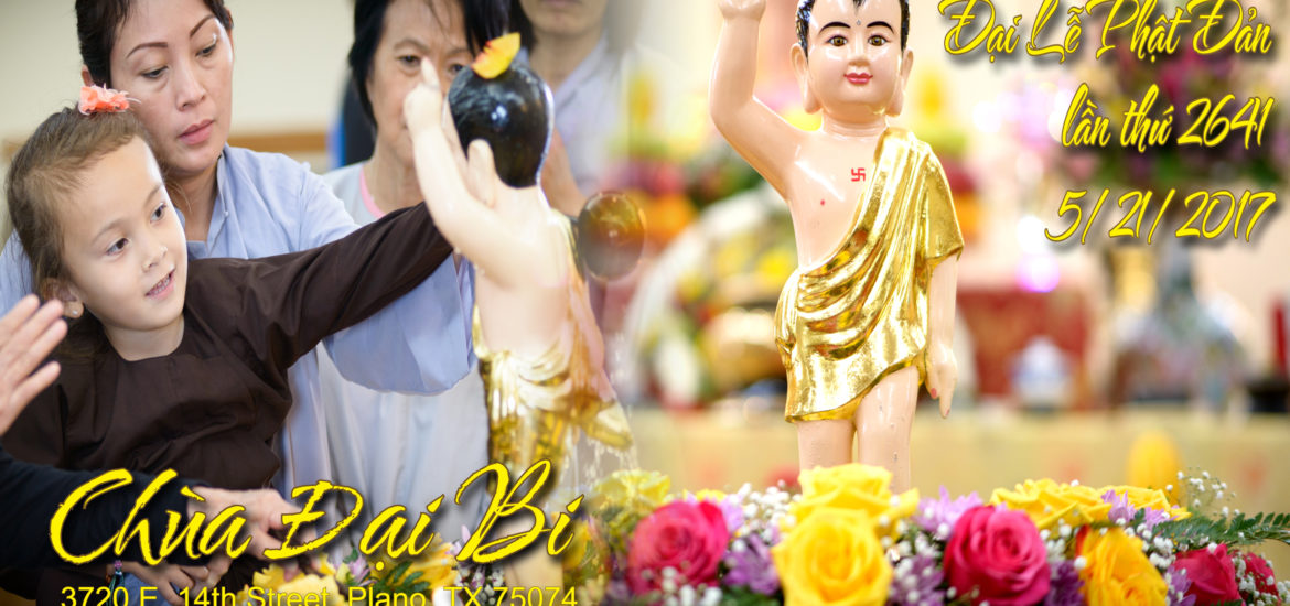 Celebrated Lord Buddha’s Birthday 2017