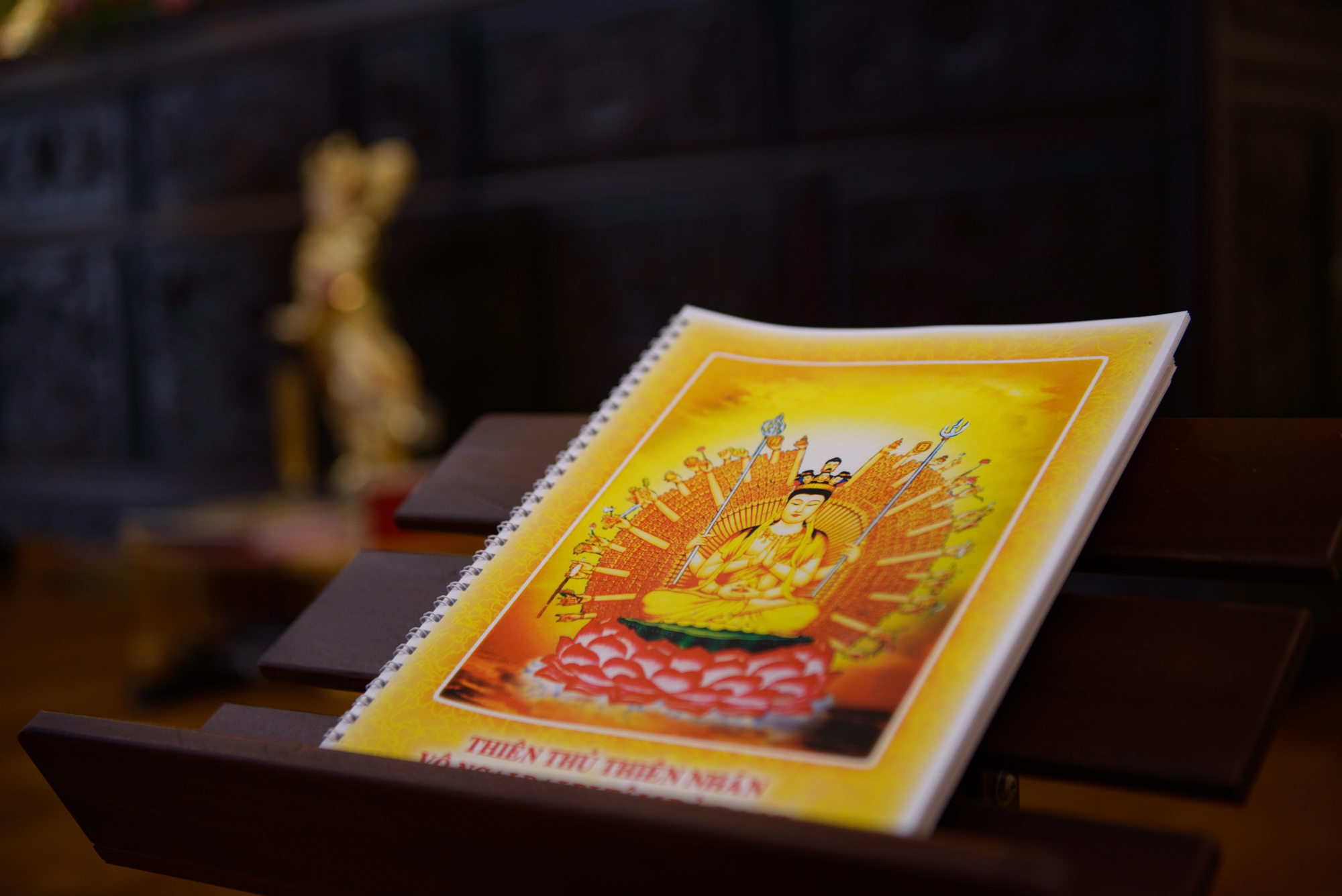 thien thu thien nhan