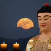 chua dai bi 1