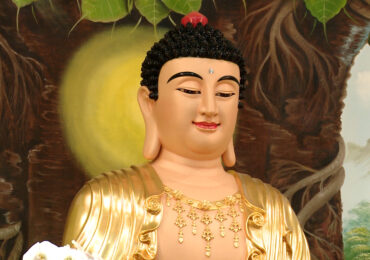 Đại Lễ Phật Đản – PL. 2567, DL. 2023 tại Chùa Đại Bi