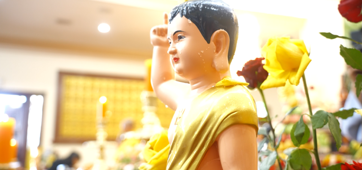 PSCD – Đại Lễ Phật Đản 2024, PL. 2568 tại Chùa Đại Bi