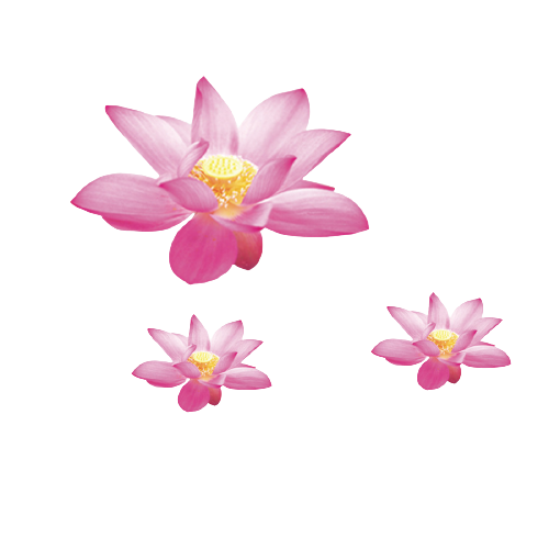 image8__5_-removebg-preview