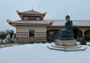 An Trú Cùng Chư Phật Giữa Mùa Đông