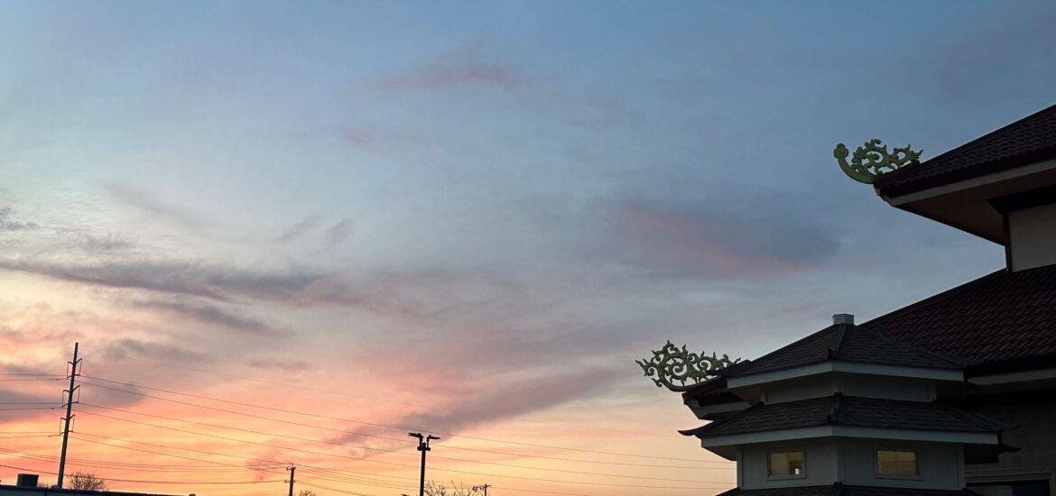 Ánh chiều và khoảng lặng