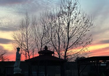 Ánh nắng chiều, thanh bình và tĩnh lặng.