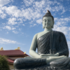 Chim lành đậu Phật đài