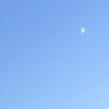 Phật Dưới Ánh Trăng Non 🌙