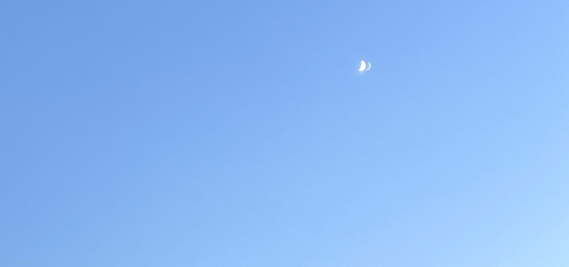 Phật Dưới Ánh Trăng Non 🌙