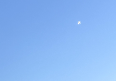 Phật Dưới Ánh Trăng Non 🌙