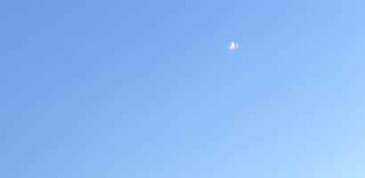 Phật Dưới Ánh Trăng Non 🌙